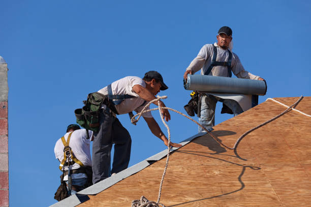 Best New Roof Installation  in Dousman, WI