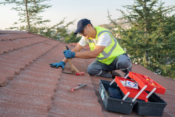 Best New Roof Installation  in Dousman, WI
