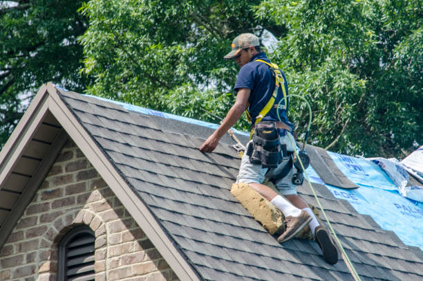 Best Emergency Roof Repair  in Dousman, WI